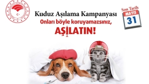Kuduz aşılama kampanyası