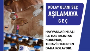 Şap aşılama kampanyası başladı