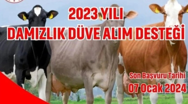 Damızlık düve alım tarih uzatıldı