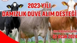 Damızlık düve alım tarih uzatıldı
