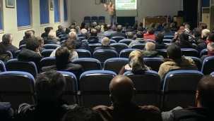 Üreticilere zeytin budama kursu