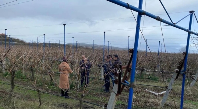  Üzüm yetiştiriciliğinin yaygınlaştırılması projesine inceleme