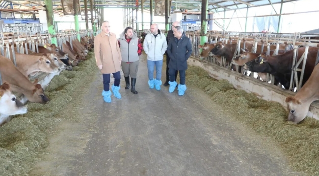 Ziyarette hayvancılık konusunda güncel değerlendirmeler ele alındı