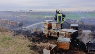 Binlerce arı yandı kovanlar kullanılamaz hale geldi