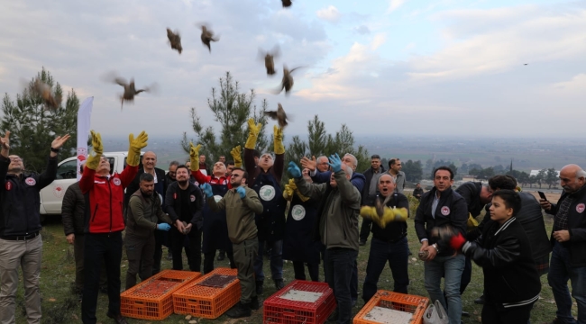 Çekirge avcısı keklikler doğaya salındı