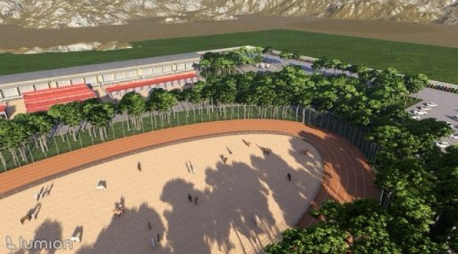 Karadağ'dan sokak calılarının yaşamını kolaylaştıracak örnek proje