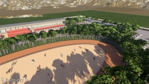 Karadağ'dan sokak calılarının yaşamını kolaylaştıracak örnek proje