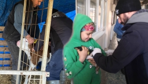 Kedi-köpeklere kuduz,hayvanlara şap aşısı