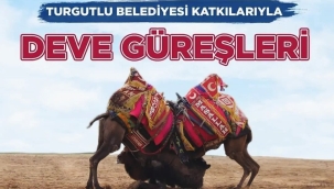 Sinirli mahallesi deve güreşleri yarın