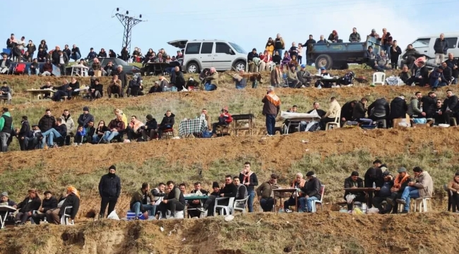 Turgutlu Sinirli köy deve güreşleri yapıldı