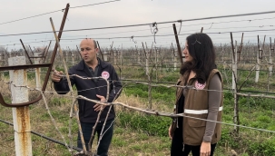 10 ilçede bağlarda tahmin ve erken uyarı çalışması