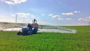 Akhisar belediyesi tarım alanlarını ilaçladı