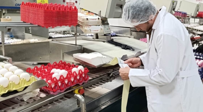 Akhisar'da yumurta üretim ve paketleme tesislerinde denetim