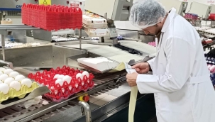 Akhisar'da yumurta üretim ve paketleme tesislerinde denetim