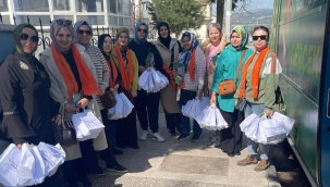 AKP kadın kolları üyeleri 3 ilçede broşür dağıttı