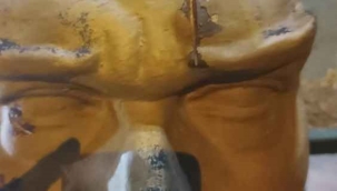 Atatürk büstüne baltayla saldıran kişi yakalandı