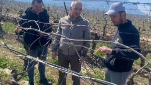 Bağlarda zirai don araştırması