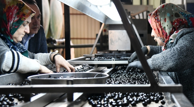 Başkan Dutlulu yeni zeytinciler sitesini ziyaret etti