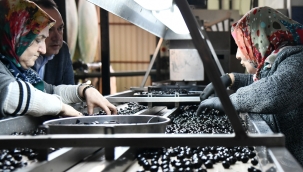 Başkan Dutlulu yeni zeytinciler sitesini ziyaret etti