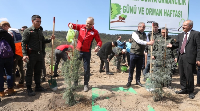 Fidanlar toprakla buluştu