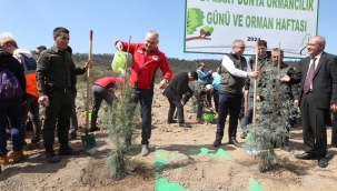 Fidanlar toprakla buluştu