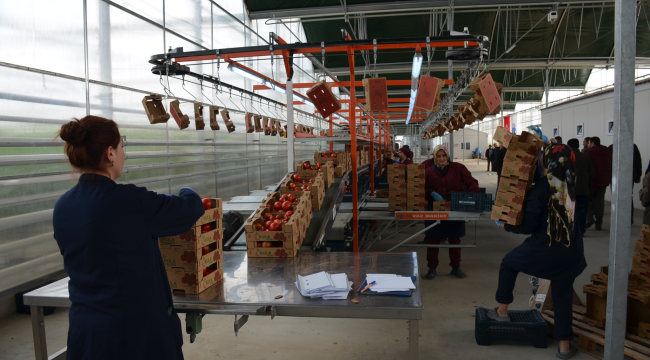 Hasat için tören düzenlendi