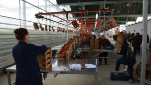 Hasat için tören düzenlendi