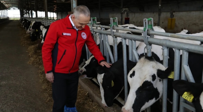 Manisa'da 274 bin hayvana şap aşılaması yapılacak