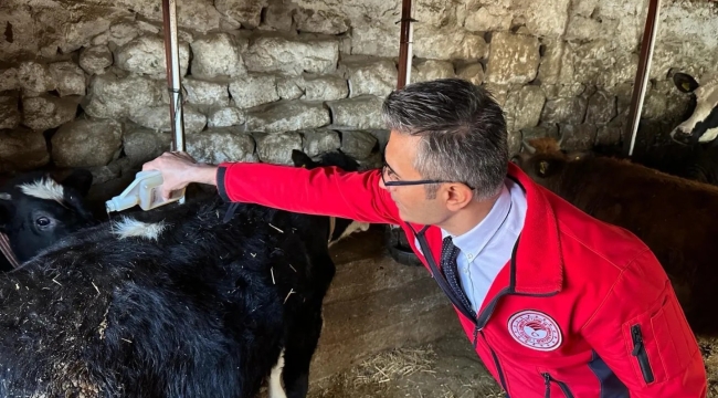 Manisa'da 4.500 bin büyük ve küçükbaş hayvana dış parazit işlemi yapıldı