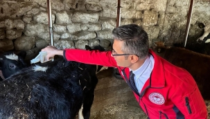 Manisa'da 4.500 bin büyük ve küçükbaş hayvana dış parazit işlemi yapıldı