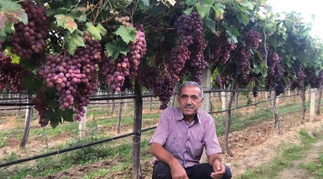 Sarıgöl ziraat odasının büyük başarısı