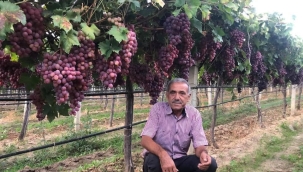 Sarıgöl ziraat odasının büyük başarısı