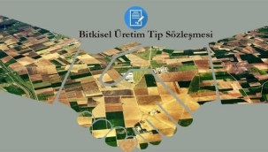 Şeker pancarı ve tütün sözleşmeli üretimi bu yönetmelik dışına çıkarıldı