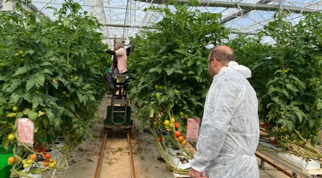 Tarımda saha denetimi