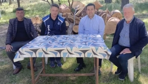 Başkan Dönmez çam mesire alanını inceledi