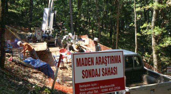 Bilirkişi raporu: Cengiz'in Kazdağı'ndaki altın madeninde kamu yararı yok!