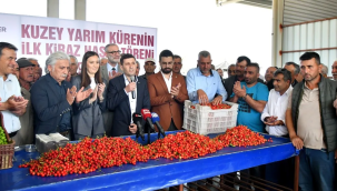 Hasatda satışta başladı