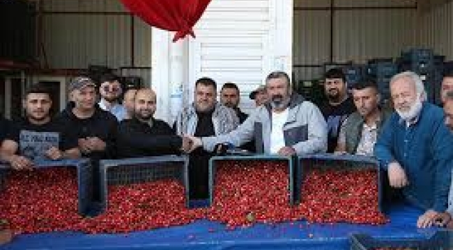 Kiraz piyasaya çıktı:kilosu 2 bin liradan satıldı