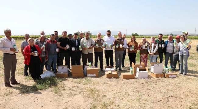 Ahmetli'de salkım güvesi için 405 külleme içinde 215 biyolojik preparat dağıtıldı