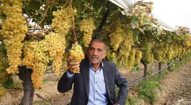 Sarıgöl'de tarım işçilerinin çalışma saatleri belli oldu