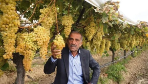 Sarıgöl'de tarım işçilerinin çalışma saatleri belli oldu