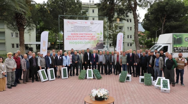 Üreticilere Şehzadeler'de 650 bin, Kula'da 150 bin patlıcan fidesi dağıtıldı