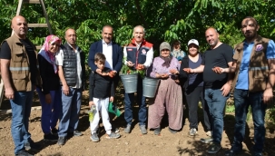 Üreticilerle kiraz toplayan Öztürk''Manisa'da 45 bin ton kiraz üretimi yapılıyor''