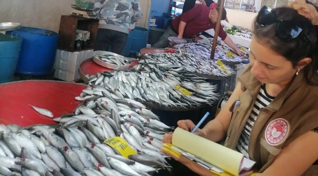 17 ilçede eş zamanlı denetim