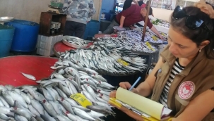 17 ilçede eş zamanlı denetim