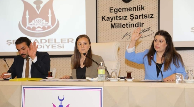 Başkan Durbay'a meclisten ek yetkiler
