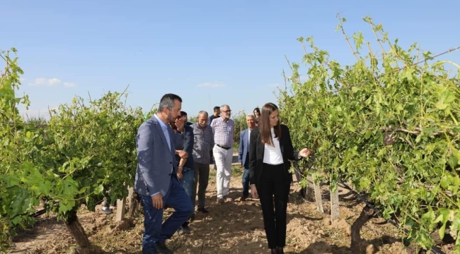 Başkan Durbay üreticilere destek sağlayacak tarım birimi kuruyor