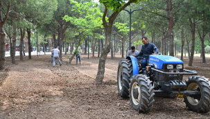 Belediye gölet alanını güzelleştirmeye devam ediyor