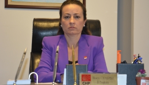 CHP il başkanı Özalper ''iftira ve yalanlar bizi yıldırmaz''