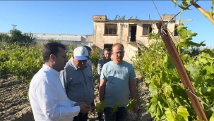 CHP'li Başevirgen ''çiftçinin işi Allah'a kaldı''